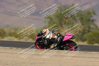 media/Nov-12-2023-SoCal Trackdays (Sun) [[5d1fba4e7d]]/Turn 3 Inside Speed Pans (135pm)/